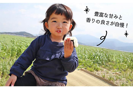 【 栽培期間中農薬不使用 】米 旋風 ヒノヒカリ 5kg 《糸島》【百笑屋】 [ABF003]   米 お米 白米 精米 ひのひかり