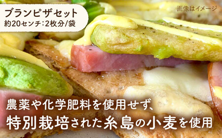 【 全3回 定期便 】粉類 の 計量不要 ！ おうちで簡単 パン と ピザ の キット 全種 3袋 (各1回分)《糸島》【天然パン工房楽楽】【いとしまごころ】[AVC038]