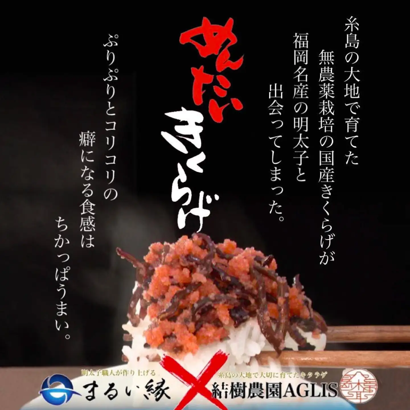 結樹農園 アグリス めんたい きくらげ 300g 《糸島》【結樹農園アグリス】きくらげ/国産/明太/明太子 [AAJ001]