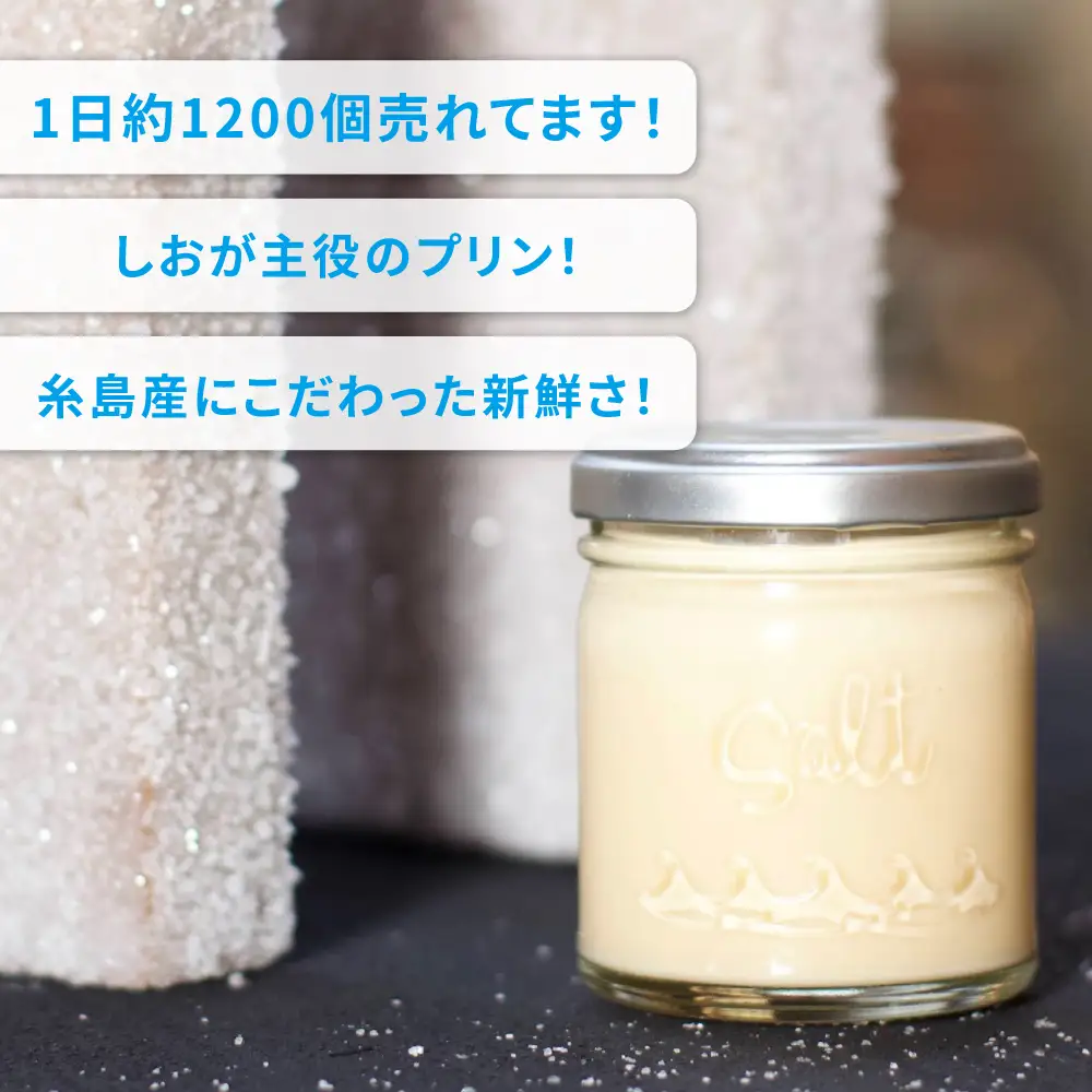 しおが主役 しおをかけてたべる プリン 花塩 プレーン 6個 セット 糸島市 / またいちの塩 [AEB001] ランキング 上位 人気 おすすめ