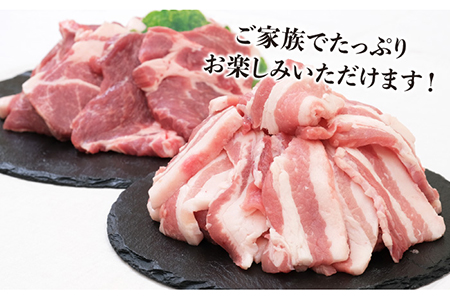 JA糸島  糸島豚 焼肉 セット 肩ロース バラ 糸島市 / JA糸島産直市場 伊都菜彩 [AED004]