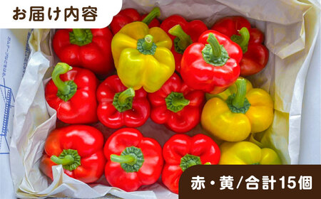 糸島産 肉厚 パプリカ 15個 福岡県  糸島市 / シーブ [AHC032] 野菜 ピーマン