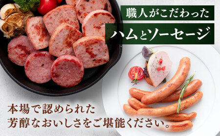 【本場ドイツで連続金賞受賞】マイスター ギフト セット 10種 詰め合わせ ( ハム / ソーセージ / ウインナー) 糸島市 / 糸島手造りハム [AAC001]  詰め合わせ ランキング 上位 人気 おすすめ