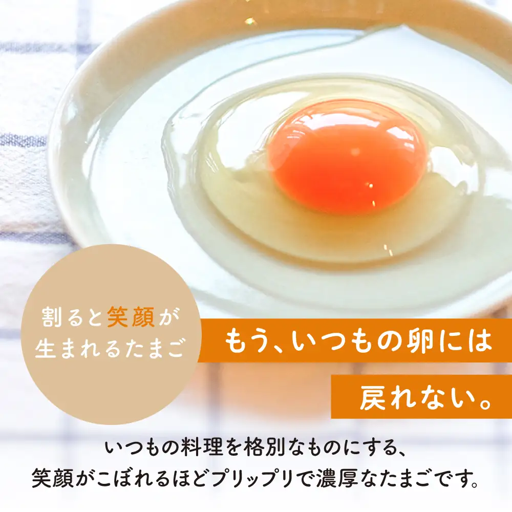  つまんでご卵 卵 大サイズ 20個 セット  [AGA008] たまご