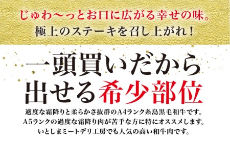【極上 ステーキ】合計 600g (6枚入) ハネシタロース ランプ A4ランク 糸島 黒毛和牛 【糸島ミートデリ工房】[ACA041] 希少 ステーキ ランプ ロース 牛肉 赤身 国産 和牛 黒毛和牛