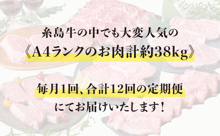 【全12回定期便】A4ランク 糸島 黒毛和牛 プレミアム セット 福岡県産 糸島市/糸島ミートデリ工房 [ACA076]