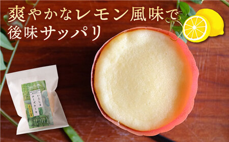 無添加 チーズ のいとしまチーズケーキ【 5個 セット】[ATA002]