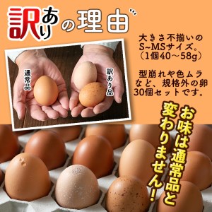 isa317 《訳あり・毎月数量限定》いちき農園のこだわり卵(計30個・15個入り×2パック) 平飼い 鶏 たまご 低コレステロール 抗生物質不使用 卵かけご飯 TKG 訳あり【いちき農園】