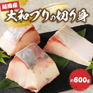 大和ブリの切り身　約600ｇ N072-YA2289