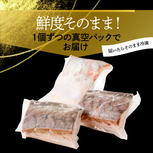 大和カンパチの切り身　約600ｇ N072-YA5532