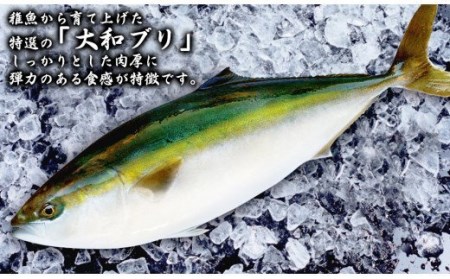 【大和ﾌﾞﾘ】半身(ﾌｨﾚ)約1kg×2枚(ｽｷﾝﾚｽﾛｲﾝ仕様あら付き) N072-YD0191_1