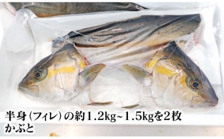 大和ｶﾝﾊﾟﾁ半身(ﾌｨﾚ)約1.2kg～1.5kg×2枚かぶと付き N072-YD0192