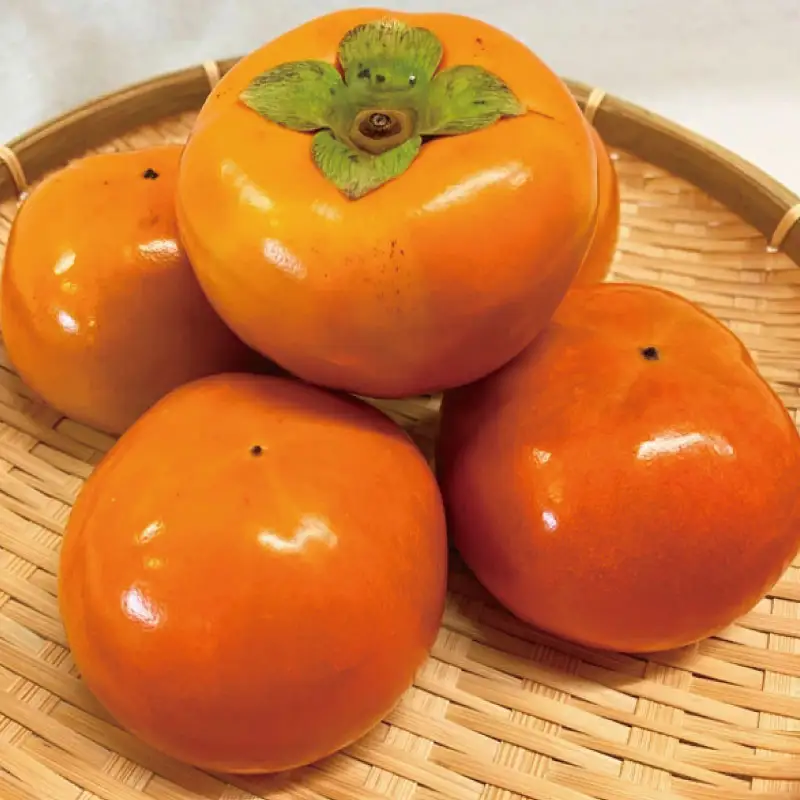 和歌山秋の味覚　富有柿　約2kg　化粧箱入 / 果物 フルーツ 柿 旬 人気 先行予約【uot739】