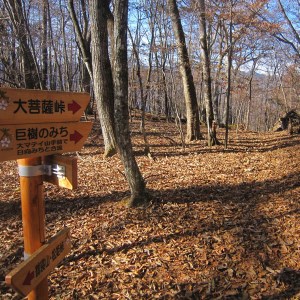 【返礼品なし】多摩川の水源林を歩く登山道整備支援金＜小菅村応援寄附金10,000円＞