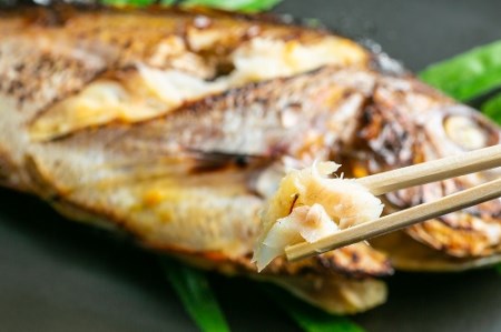 塩飽鯛 Bセット【A-74】