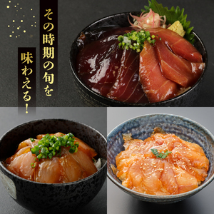 【3ヶ月 定期便】 初音自家製　室戸の海鮮漬け丼(旬魚) おかずに海鮮丼に茶漬けに