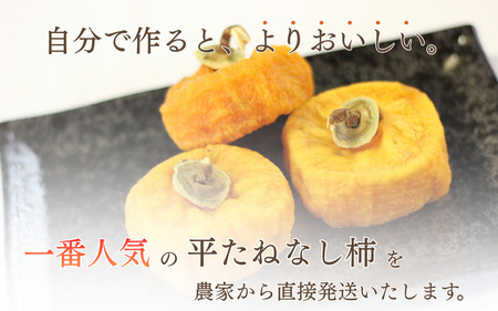 柿 生渋柿たね無 あんぽ柿用T軸枝無 約14.5～15kg　約60～90個【2026年10月中旬～11月上旬ごろ順次発送】【ART15】【G215-art002B】