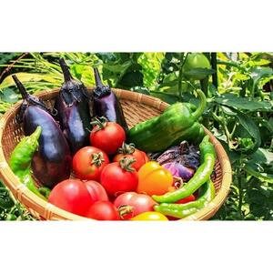 佳子さんの熟成ぬか床+地元で採れた旬の野菜セット