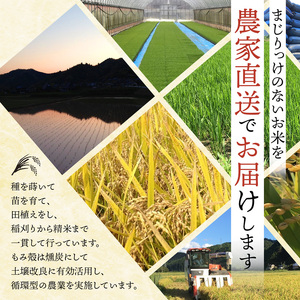 【令和7年度産】 コシヒカリ 5kg 精米 白米 こしひかり お米