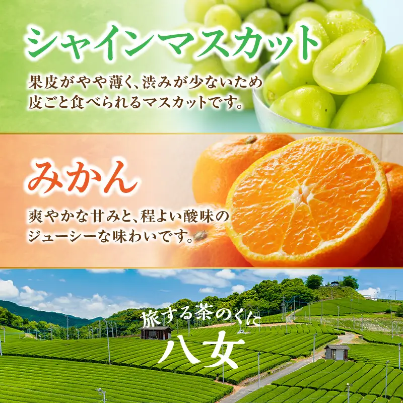 九州・福岡フルーツ王国八女 お試し旬のフルーツ定期便【全2回】G＜配送不可：北海道・沖縄・離島＞ フルーツ 定期便 ぶどう シャインマスカット みかん 蜜柑 果物 福岡県 八女市 072-T020
