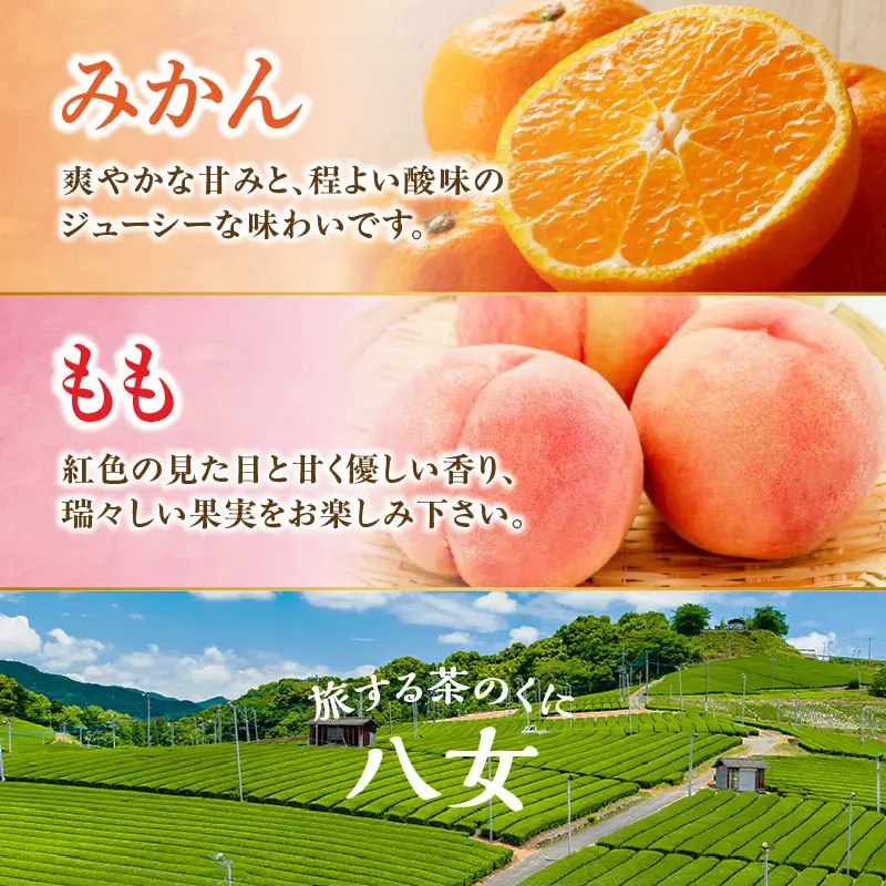 九州・福岡フルーツ王国八女 お試し旬のフルーツ定期便【全2回】H｜＜配送不可：北海道・沖縄・離島＞ フルーツ 定期便 もも 桃 みかん 蜜柑 果物 福岡県 八女市 072-T021