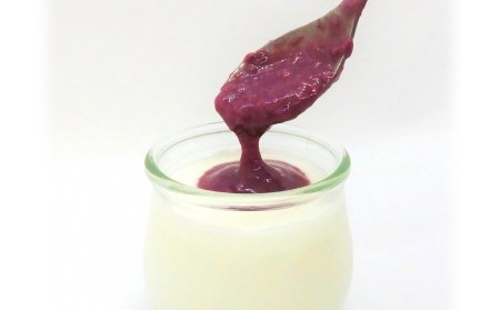 【やさしや】管理栄養士が監修した食べる甘酒【酵果満点】2個セット（ブルーベリー）