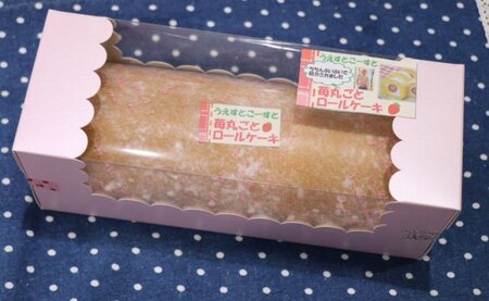 生ブルーベリーロールケーキ【7月上旬～8月下旬の発送】【A161-frks073】