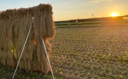 天日干有機米こしひかり「天地の誉」白米5kg お米 コシヒカリ 石川県産 
