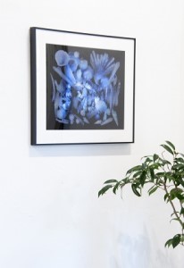 zushi art gallery西村陽一郎写真作品「貝殻」（スキャングラム）