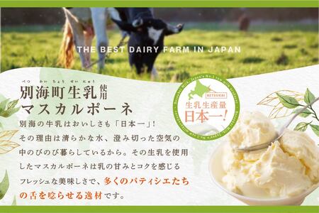 【定期便】別海町産マスカルポーネチーズ使用 デリスプリン 計960g 120g×4本×2ヵ月 全2回 マスカルポーネチーズ 北海道