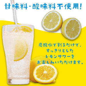 【レモンサワーの素】 1000ml×6本 お酒 東亜酒造 埼玉県 羽生市