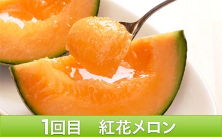 《2026年発送先行予約》やまがたメロン定期便(全3回) FSY-0104