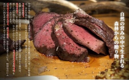 森のジビエ  鹿肉 ブロック おまかせ詰合せ700g以上 A-JJ-A15A