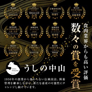 d0-033 ＜A4・A5等級＞鹿児島県産黒毛和牛100%使用極上手ごねハンバーグ計4.5kg(150g×30個)