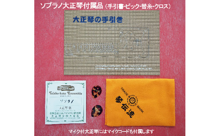 初心者用ソプラノ大正琴「若葉」 雑貨 日用品 楽器 入門モデル 琴伝流 