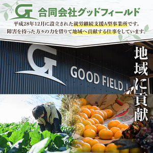 ＜定期便・全2回(6月・11月)＞あくね旬の野菜おまかせセット(5～8品目) 小松菜、レタス、青梗菜の3品目とその他野菜2品目以上を詰め合わせて全2回お届け！ ふるさと納税 阿久根市 特産品 野菜 お楽しみ さつまいも 芋【合同会社グッドフィールド】akn056-19