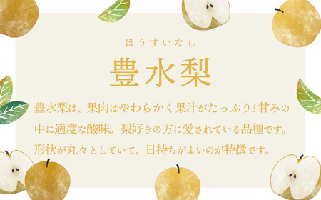 豊水梨 約5kg 09月下旬発送  梨 先行受付