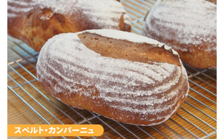 古代小麦使用！シンプルパンの５種詰め合わせ （BB001）