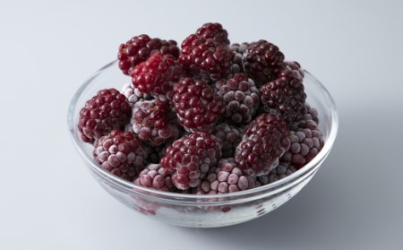 【H-185】はなつむぎベリーファーム　アドベリー冷凍果実(300g×6)［高島屋選定品］