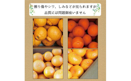 【3回定期便】訳ありみかんの定期便 温州みかん・不知火・清見オレンジ【tkb113】