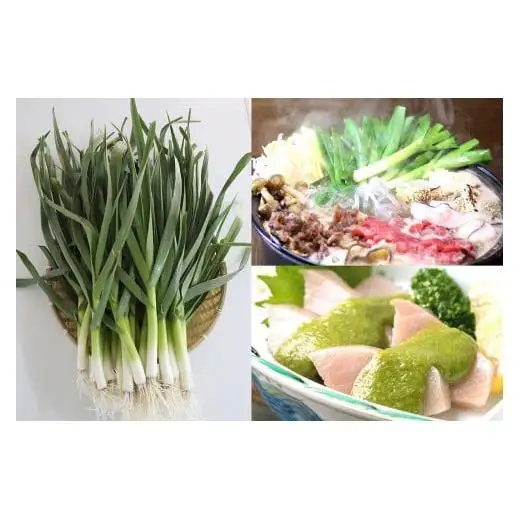 【 にんにく 】葉にんにく150g×8袋