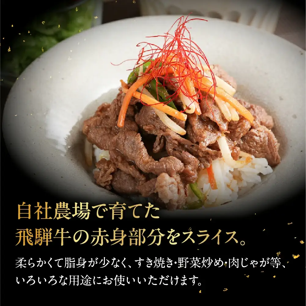 飛騨牛スライス 700g【22-15】