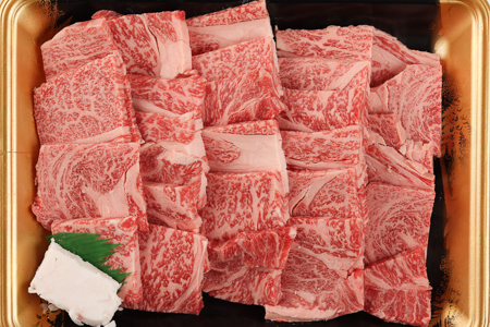 飛騨牛 リブロース 500g（焼肉用）【22-20【1】】