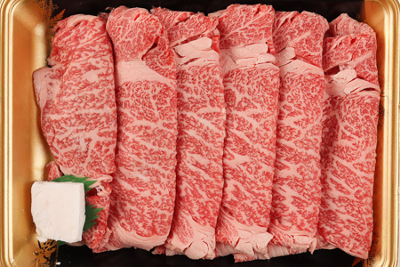 飛騨牛 リブロース 500g（すき焼き用）【22-20【2】】