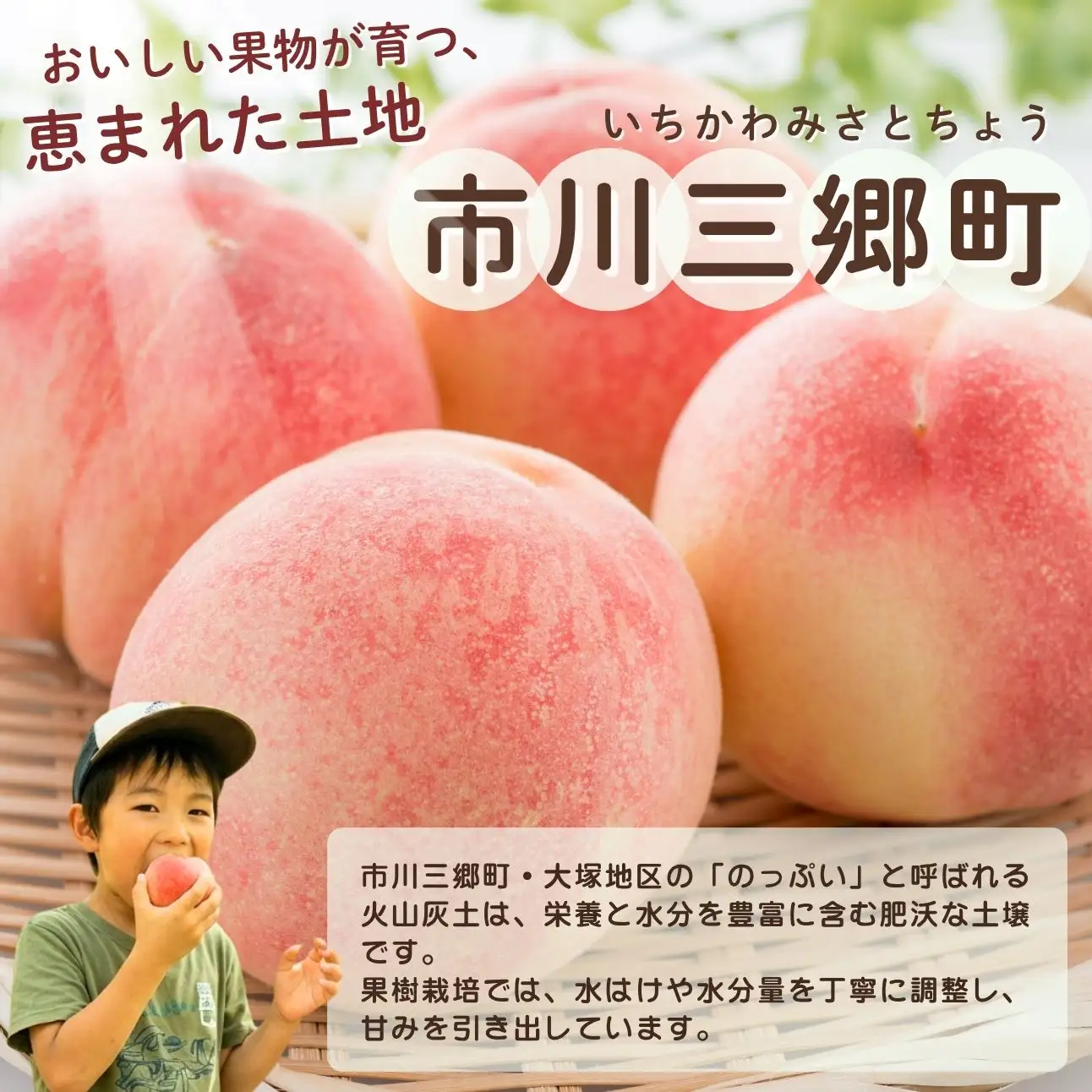 山梨の桃　6～7玉　2kg箱【2026年7月中旬から発送】 秋山農園 ｜ 人気 新鮮 産地直送 採れたて 果物 くだもの フルーツ 甘い 糖度 旬 モモ もも デザート おやつ トッピング 山梨県 市川三郷町 市川三郷 [5839-1488]