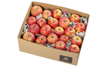 《先行予約 2026年度発送》品種おまかせワケありりんごバラ詰め8kg(実詰め10kg) りんご リンゴ 林檎 デザート フルーツ 果物 くだもの 果実 食品 山形県 FSY-1858