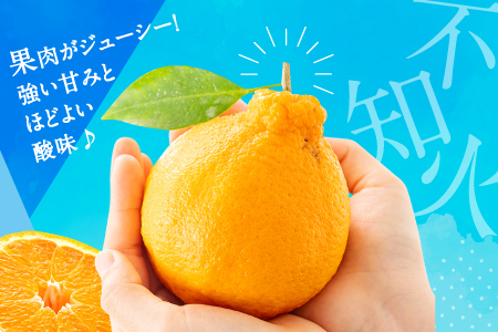 AA132.農家直送の不知火／約3kg（2027年2月発送予定)