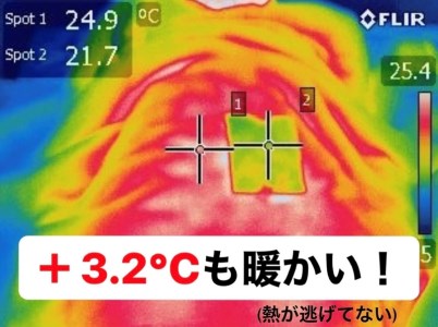 シャネボウ　ふわっと暖暖　「大人のベットカバー」 F7Z-444