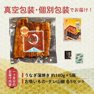 【定期便 12ヶ月】うなぎ 蒲焼 5尾  計800g 国産 うなぎ