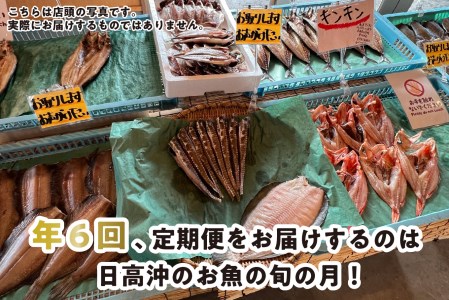 ＜定期便6回＞北海道産 旬の魚介 4~5種 お楽しみ定期便